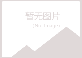 鹤壁山城初夏电讯有限公司